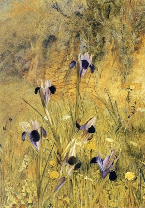 A few purple flowers